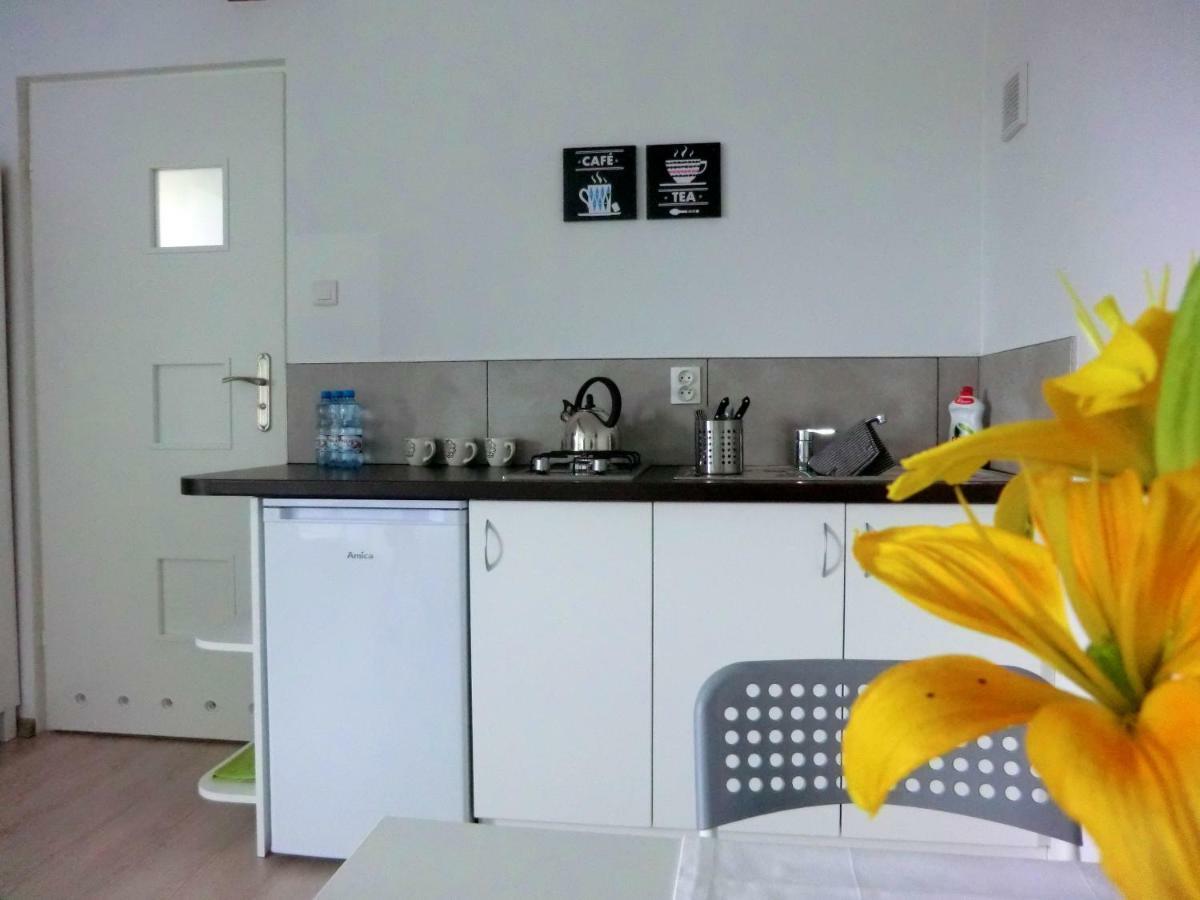 Vila Zielone Zacisze Uniejow Exteriér fotografie